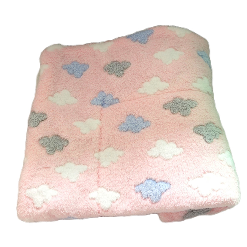 Soft Pet Blanket